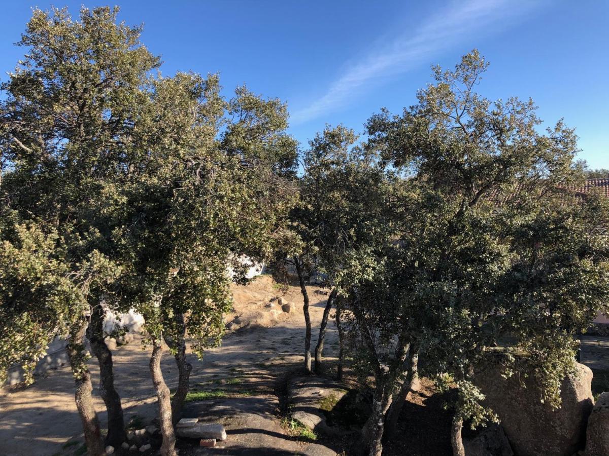Finca El Olivo Ituero y Lama 外观 照片